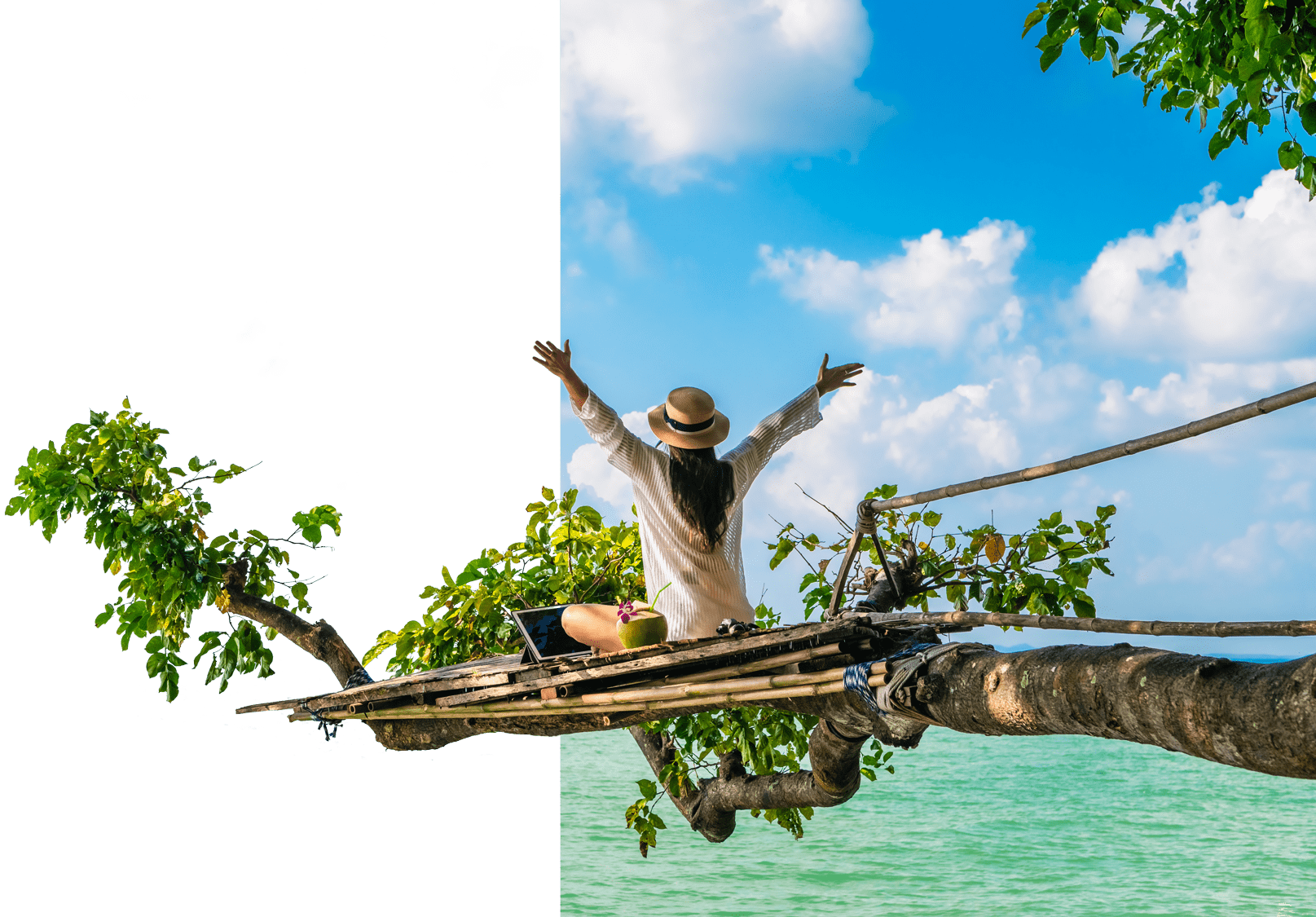 Person mit Laptop auf dem Baum